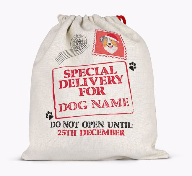 Special Delivery for {dogsName}: Personalised {breedFullName} Santa Sack